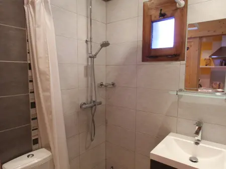 Studio 24 m² avec terrasse, 4 pers. à Champagny : photo 4