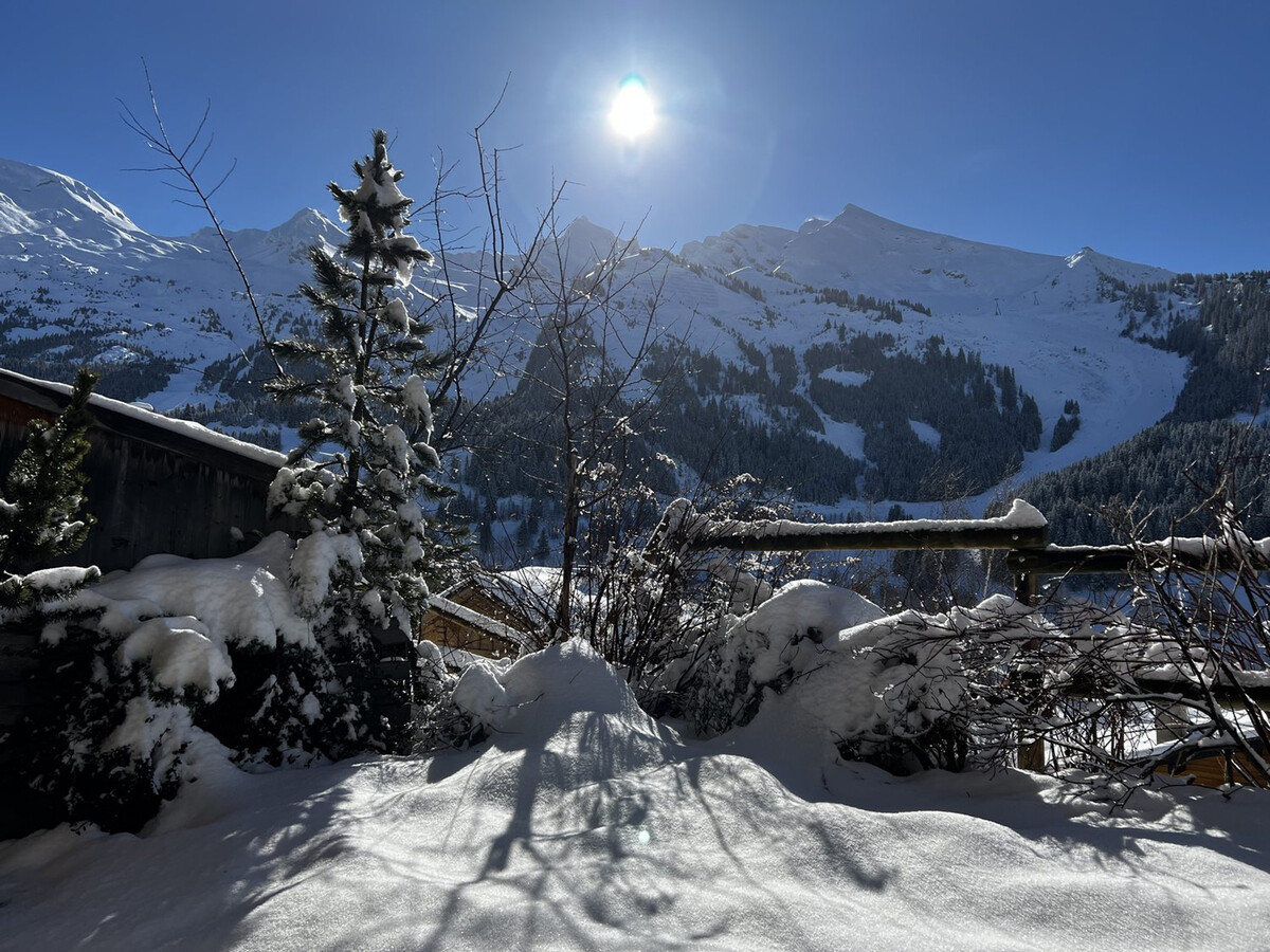 Chalet mitoyen 3 étoiles, 109 m², terrasse & garage à La Clusaz - Photo 16