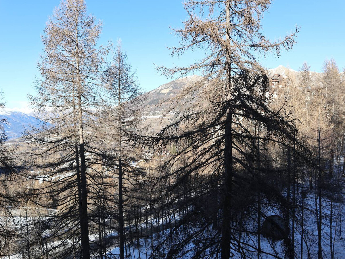 Studette rénovée 100 m des pistes aux Orres - Photo 6