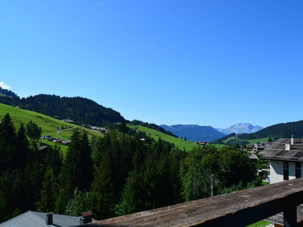 Appart 6 couchages Le Grand-Bornand, 150m des pistes - Photo 19