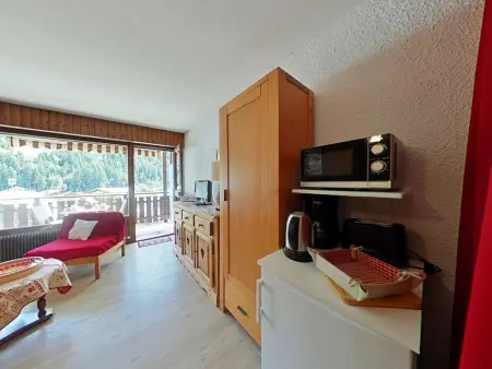 Studio 4 pers, centre village, 500 m des pistes : photo 3