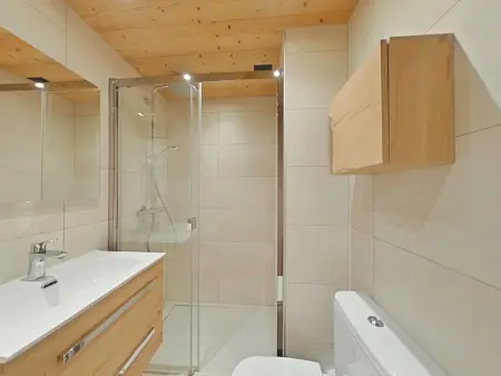Studio 4 pers, centre village, 500 m des pistes : photo 11