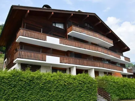 Studio 4 pers au Grand-Bornand, télécabine à 750m : photo 16