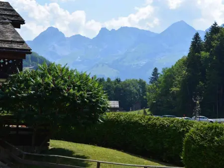 Studio 5 pers. face patinoire et pistes, Le Grand-Bornand : photo 12