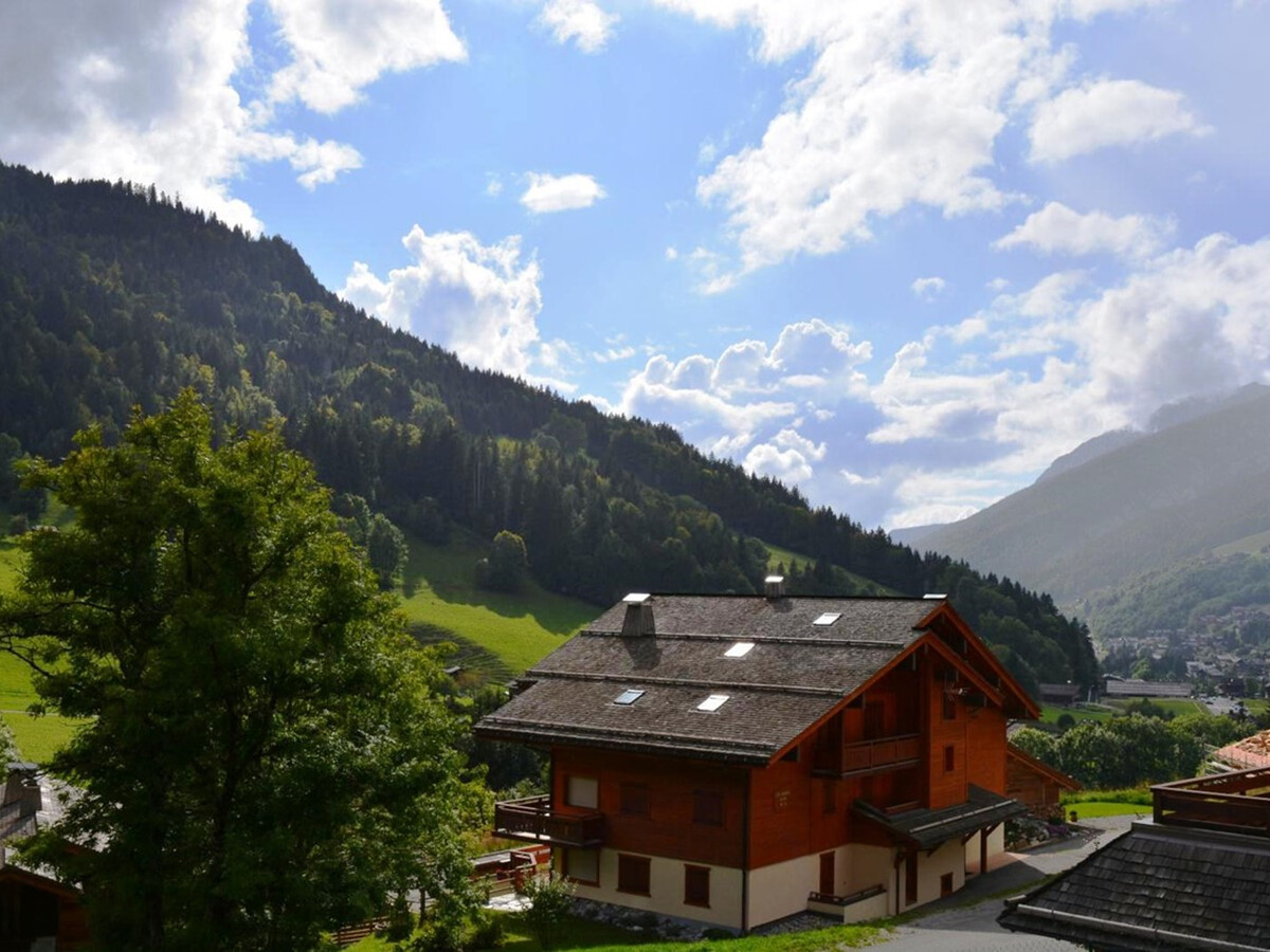 Studio 4 pers. terrasse sud, navettes ski, Le Grand-Bornand - Photo 13