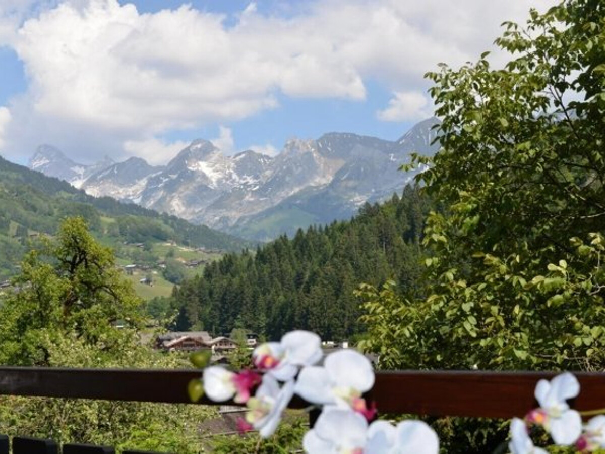 Studio 4 pers. vue Aravis - Le Grand-Bornand - Photo 17