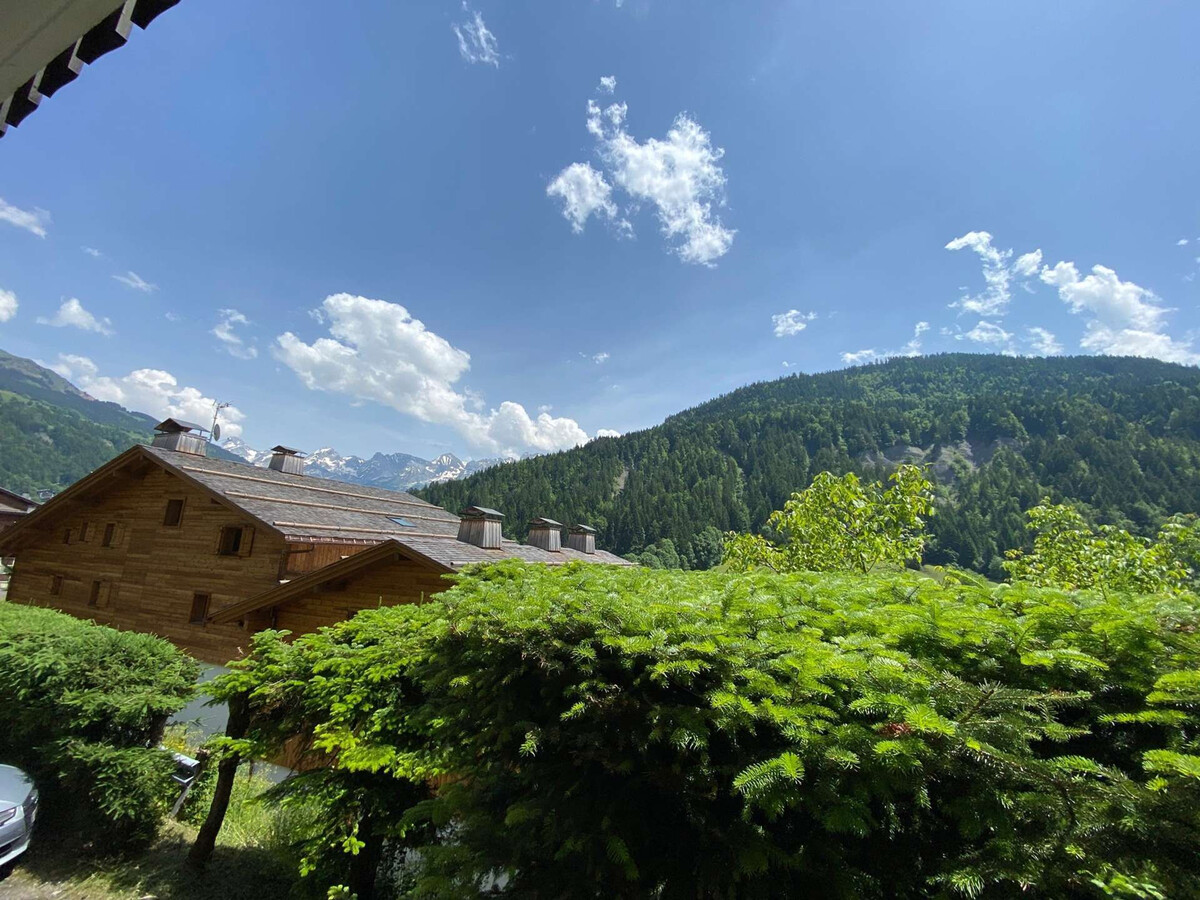 Studio 4 pers. vue Aravis - Le Grand-Bornand - Photo 18