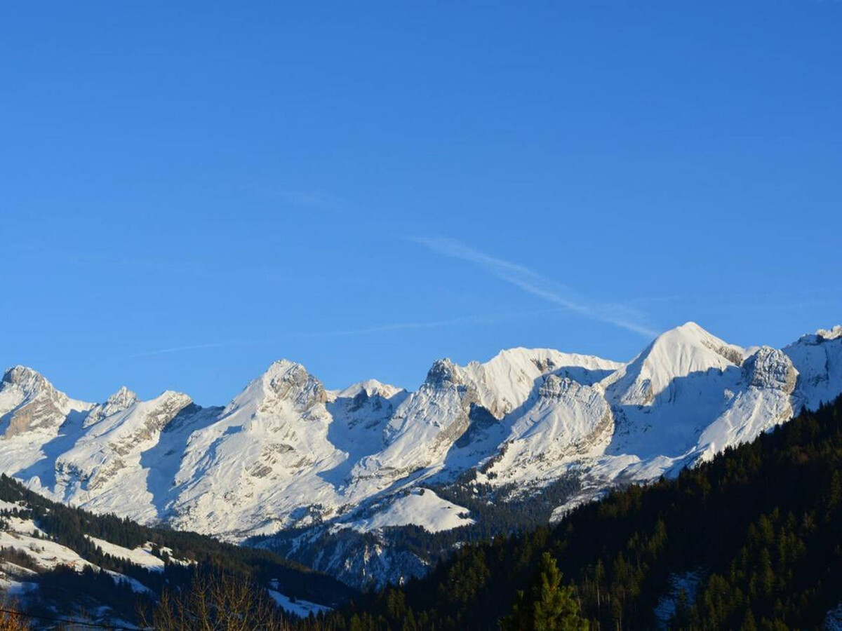 Appartement 3 pièces avec garage, vue Aravis au Grand-Bornand - Photo 15