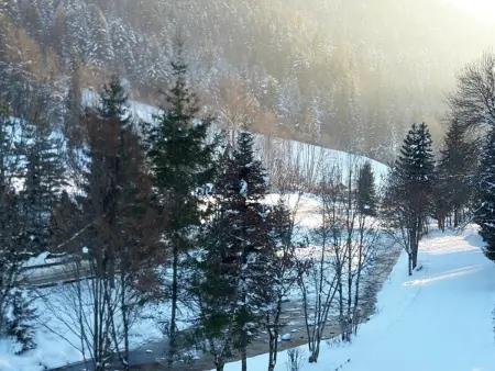Appart 2 pièces 6 pers, vue Aravis, centre : photo 16