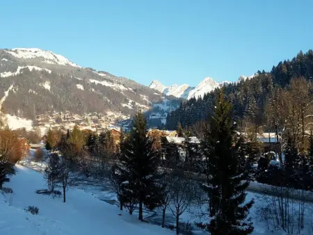 Appart 2 pièces 6 pers, vue Aravis, centre : photo 17