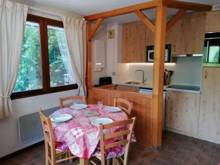 Appt 2 pièces Chinaillon, balcon sud vue pistes, skibus 100m : photo 3