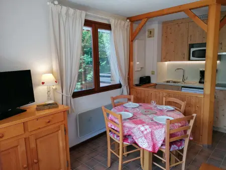 Appt 2 pièces Chinaillon, balcon sud vue pistes, skibus 100m : photo 4