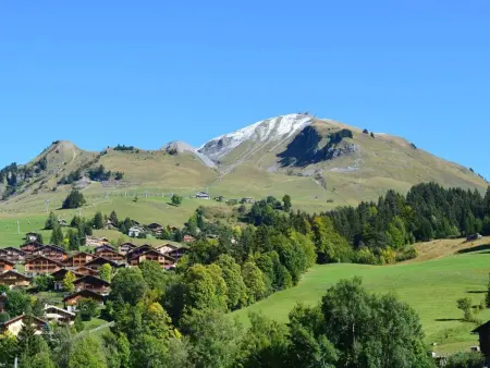 Appt 2 pièces Chinaillon, balcon sud vue pistes, skibus 100m : photo 14