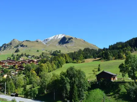 Appt 2 pièces Chinaillon, balcon sud vue pistes, skibus 100m : photo 15