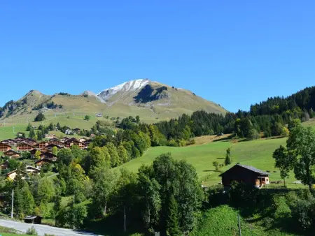 Appt 2 pièces Chinaillon, balcon sud vue pistes, skibus 100m : photo 16