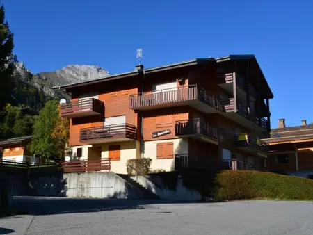 Appt 2 pièces Chinaillon, balcon sud vue pistes, skibus 100m : photo 18