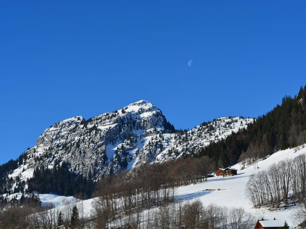 Studio 4 pers. pied des pistes, balcon sud Le Grand-Bornand - Photo 18