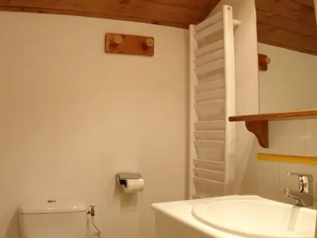 Duplex 3 pièces, 2 chambres, animaux acceptés à Valmorel : photo 7