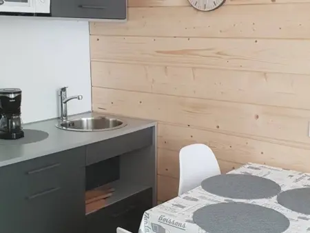 Appartement T2 Centre Cauterets, 50 m thermes : photo 4