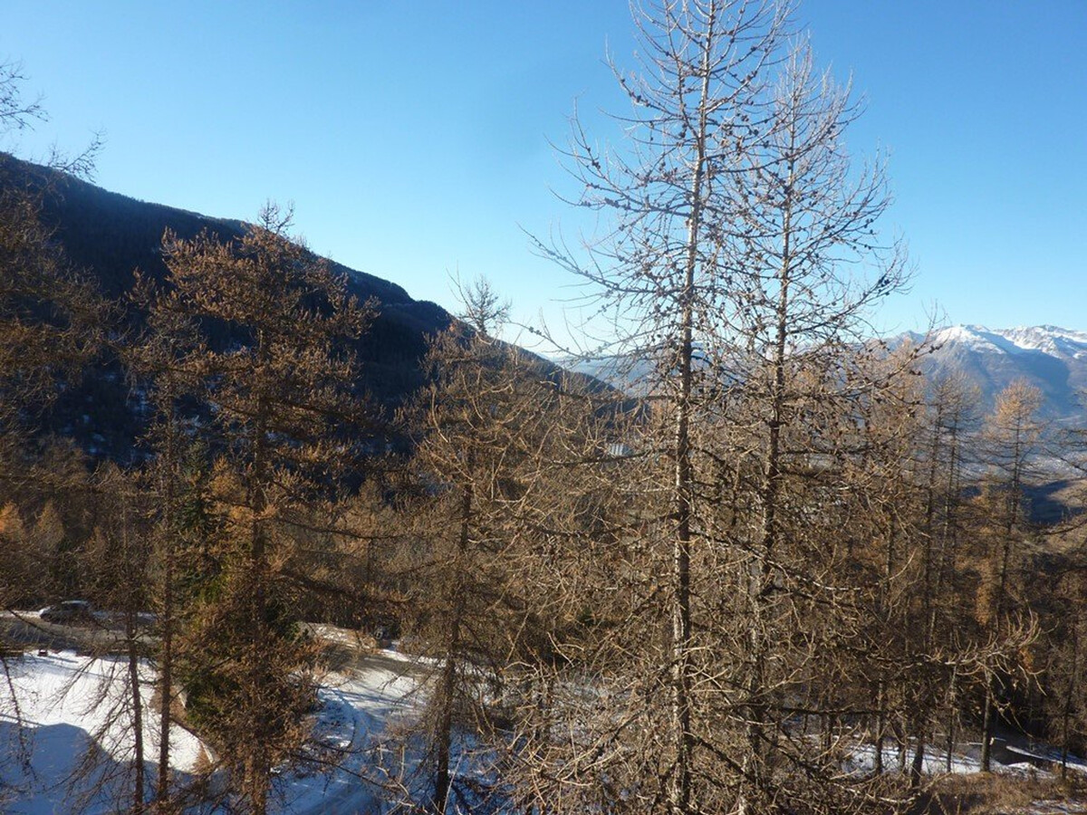 Appartement ski-in/ski-out 6 pers aux Orres, balcon vue vallée - Photo 8