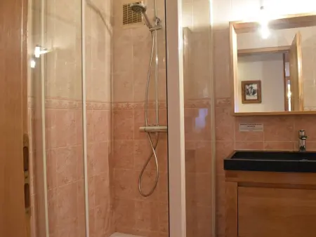 Appartement 3P 6 pers à 100 m des pistes, Méribel : photo 22