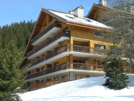 Appartement 3P 6 pers à 100 m des pistes, Méribel : photo 29
