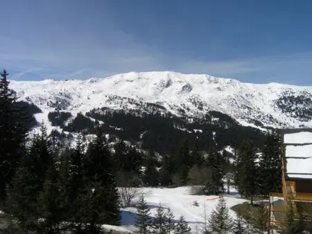 Appartement 3P 6 pers à 100 m des pistes, Méribel : photo 30