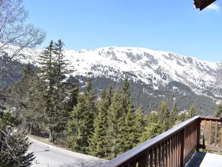 Appartement 3P 6 pers à 100 m des pistes, Méribel : photo 32