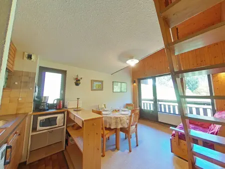 Location appartement à Le Grand Bornand, Studio avec cabine et mezzanine, parking et proche des pistes