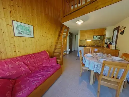 Studio cabine mezzanine à 300m des pistes, Le Grand-Bornand : photo 2