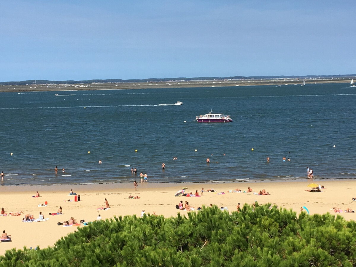 T3 Centre Arcachon, vue bassin, parking, chiens OK - Photo 14