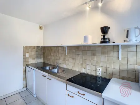 F2 45 m² Lamalou-les-Bains, terrasse parc Usclade : photo 7