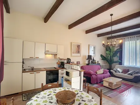 F2 45 m² terrasse avec barbecue à Lamalou-les-Bains : photo 2
