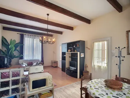 F2 45 m² terrasse avec barbecue à Lamalou-les-Bains : photo 5
