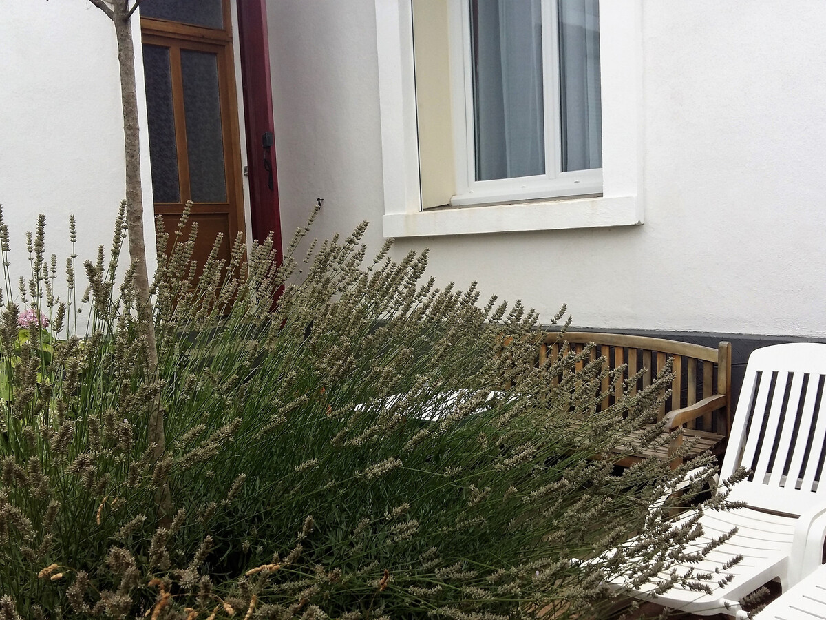 F2 30 m² terrasse privée à Lamalou-les-Bains - Photo 18