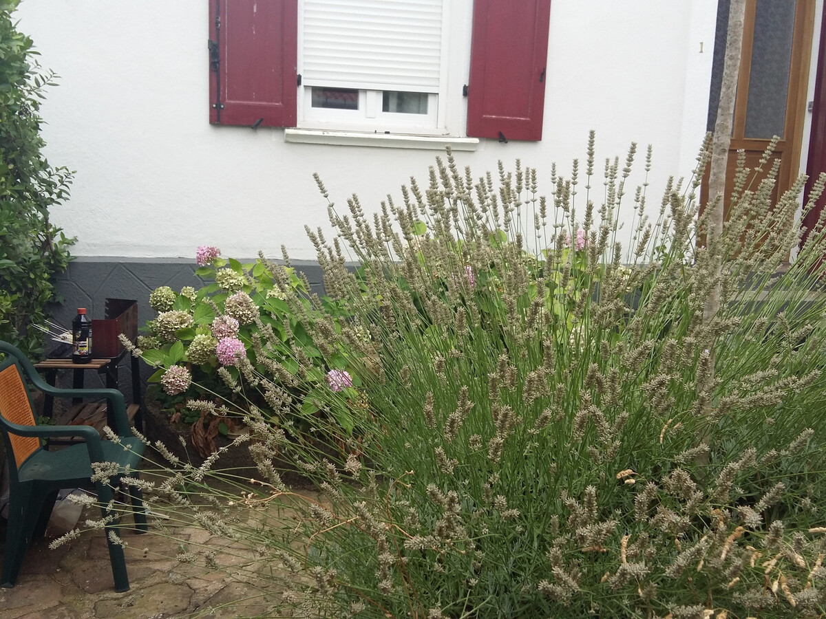 F2 30 m² terrasse privée à Lamalou-les-Bains - Photo 20