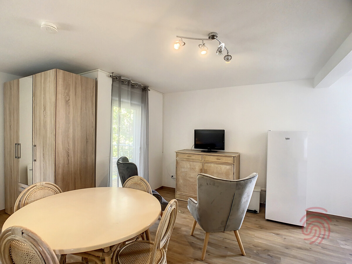 Studio 30m² à 50m des Thermes, terrasse parc - Photo 5