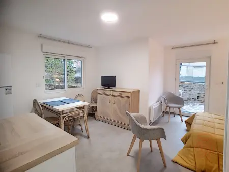 Studio rénové 20 m² avec terrasse, 50 m des Thermes : photo 3