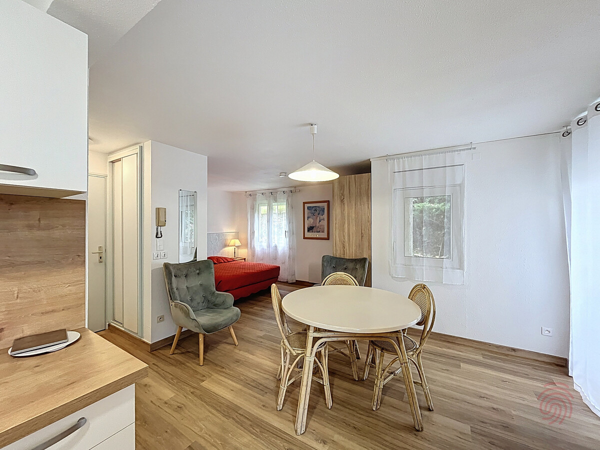 Studio 30m² terrasse, 50m des Thermes, animaux OK - Photo 2