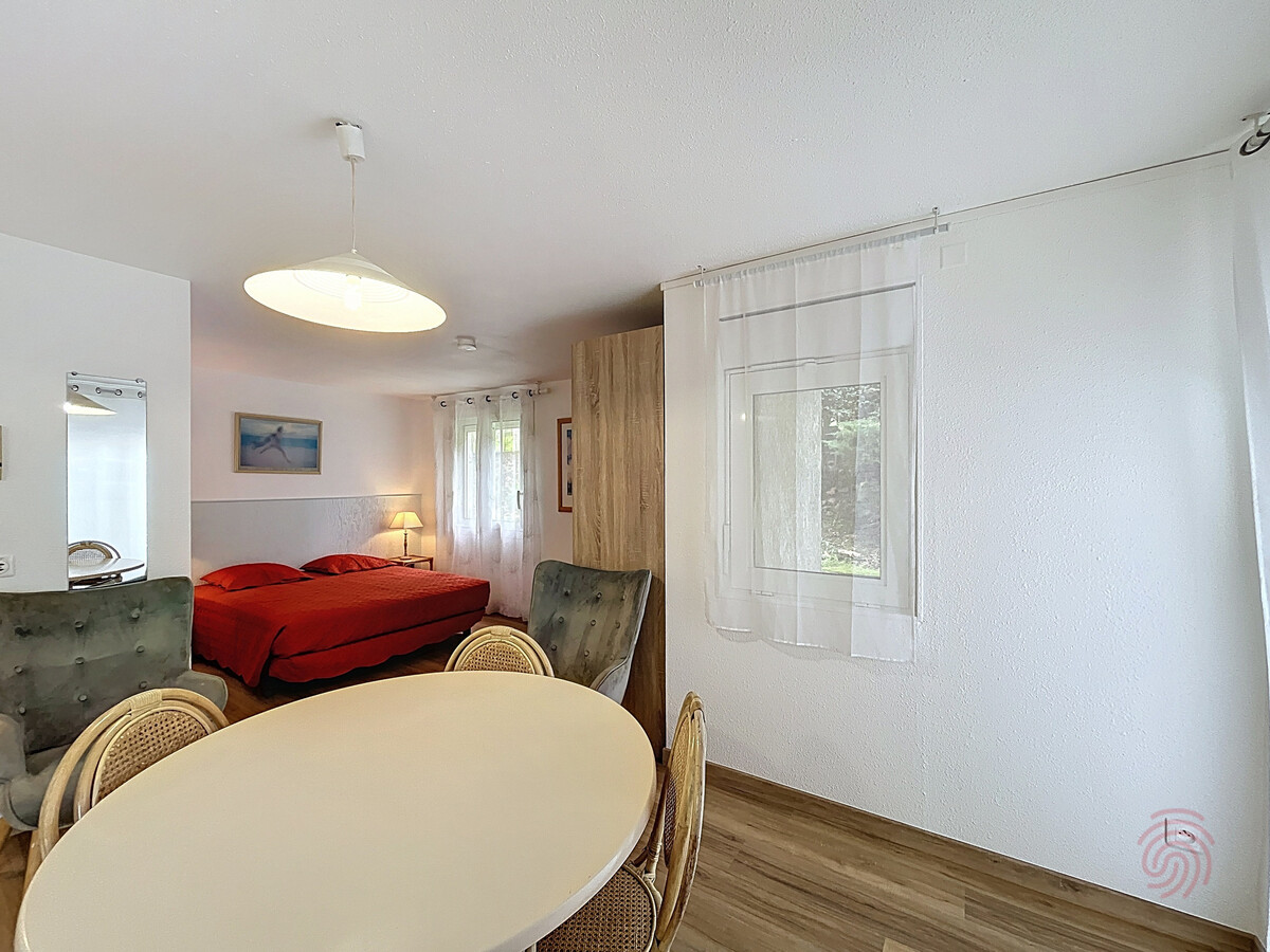 Studio 30m² terrasse, 50m des Thermes, animaux OK - Photo 3