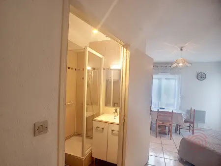 Studio rénové 24 m² Lamalou-les-Bains, balcon, animaux : photo 9