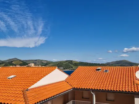 Location appartement à Banyuls sur Mer, Banyuls-sur-Mer : F2, terrasse, 4 pers, parking