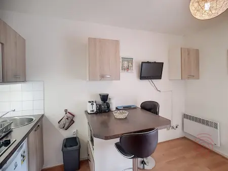 Studio rénové 17 m² à 650 m des Thermes : photo 6