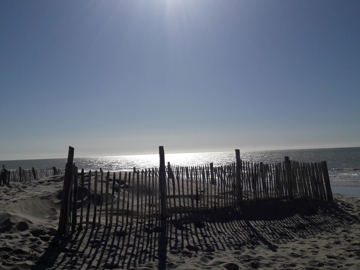 Appartement 4 pers. proche plage, balcon vue dunes - Photo 2