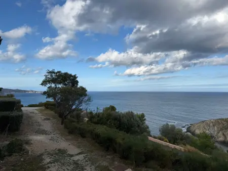 Studio-cabine face à la mer à Banyuls-sur-Mer : photo 2