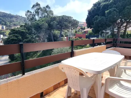 T2 Port-Vendres, terrasse, parking privé : photo 3