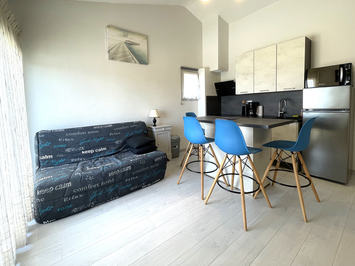T2 climatisé Banyuls-sur-Mer, terrasse & parking - Photo 8