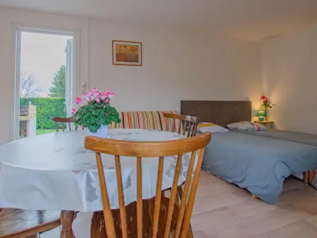 Studio chalet avec vélos et terrain à Bouy-Luxembourg : photo 10