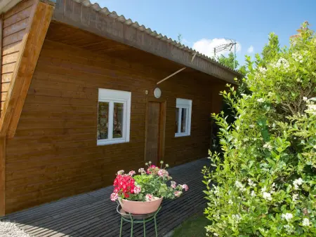 Studio chalet avec vélos et terrain à Bouy-Luxembourg : photo 14