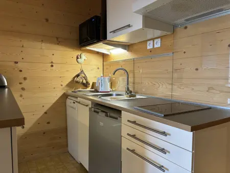 Appartement avec balcon vue Vercors à Villard-de-Lans : photo 3